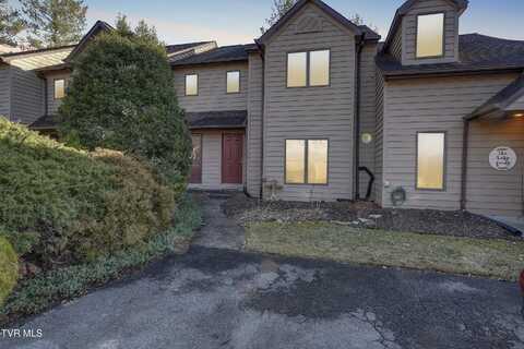 261 Willowbend Place, Kingsport, TN 37660