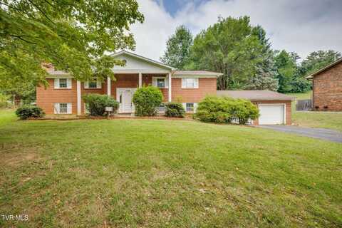 125 Walker Street, Kingsport, TN 37665