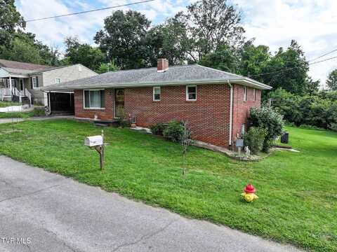 400 Kaywood Avenue, Mount Carmel, TN 37645