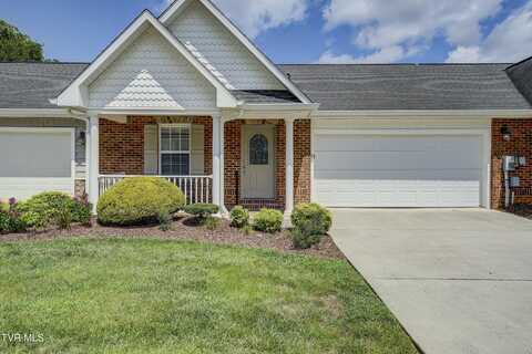 28 Bridgewater Court, Gray, TN 37615