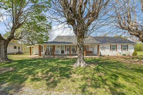 294 Davidson Chapel Ln, BLOOMINGTON SPRINGS, TN 38545