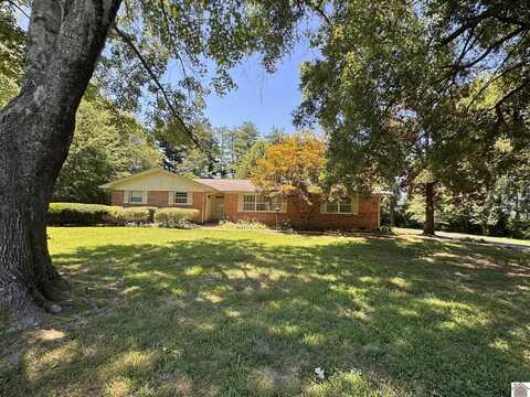 3901 Maxon Road, Paducah, KY 42001