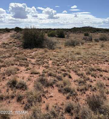 438b Yaqui Dr, Snowflake, AZ 85937