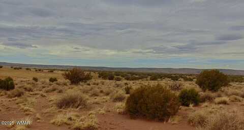 Tbd County Rd 5407 204-50-330A, Concho, AZ 85924