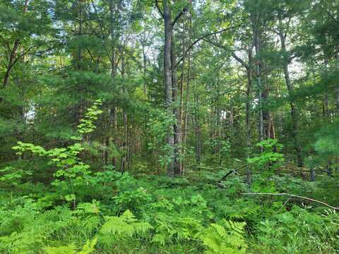 Apache Trail lot: 23, Rogers City, MI 49779