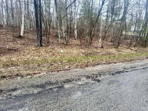 Pheasant Run lot: 1618, Gaylord, MI 49735