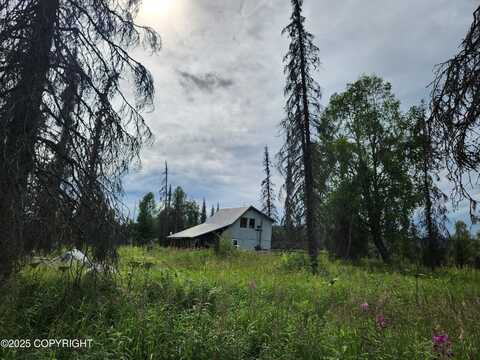 17148 S Josey Circle, Trapper Creek, AK 99683