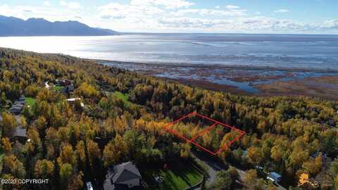 L9 & L10 Feodosia Drive, Anchorage, AK 99516