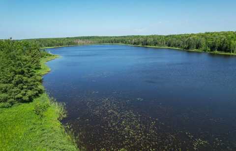 Camp 23 Road, Gulliver, MI 49840