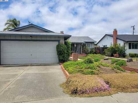 35225 Santiago St, Fremont, CA 94536