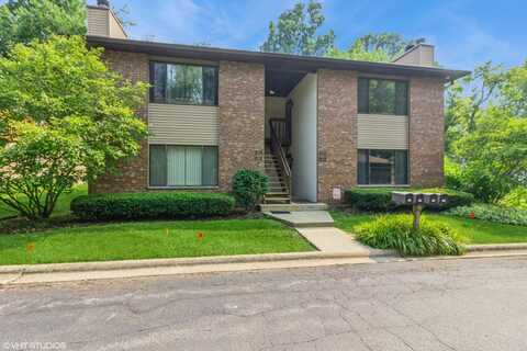 253 S. Harrison Street, Geneva, IL 60134