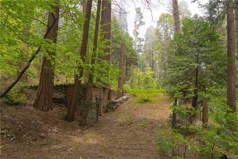 710 Blue Jay Canyon Rd Road, BlueJay, CA 92317