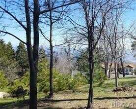 42 Park Drive, Running Springs, CA 92382