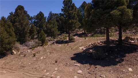 0 Upland, Big Bear City, CA 92314
