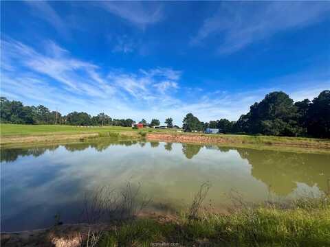 12419 Private Road 1390 County Road, Centerville, TX 75833