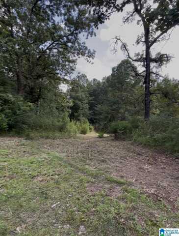 308 COUNTY ROAD 774, MONTEVALLO, AL 35115
