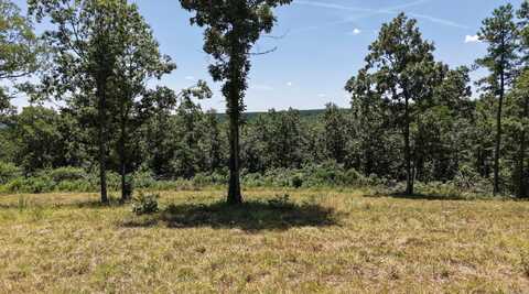 000 Timberline Drive (Tract 1), Leslie, AR 72645