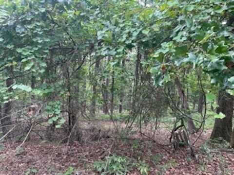 46 Mandarina Way, Hot Springs Village, AR 71909