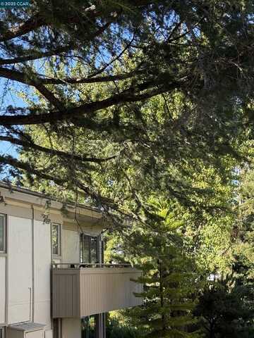 2825 Ptarmigan, Walnut Creek, CA 94595