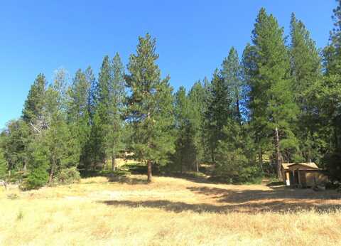 4426 Bald Mountain Road, West Point, CA 95255