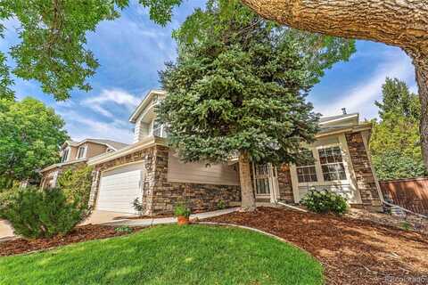 5905 S Meadow Lark Place, Castle Rock, CO 80109