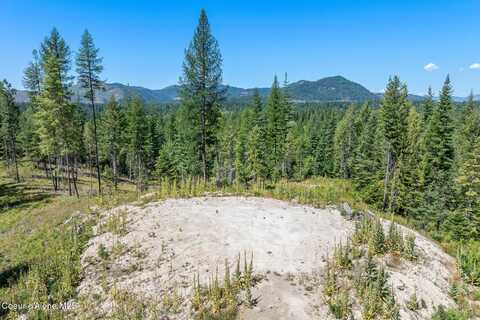 195 Cypress Ct., Priest River, ID 83856