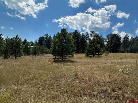 272 Hills Circle, Pagosa Springs, CO 81147