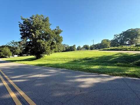 0 Lowery Street, Black, AL 36314
