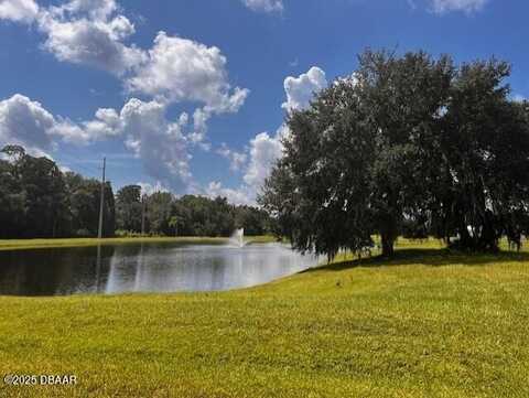 Lot 100 Palaeo Street, Crescent City, FL 32112