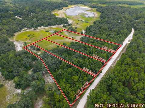 Unassigned, Old Town, FL 32680