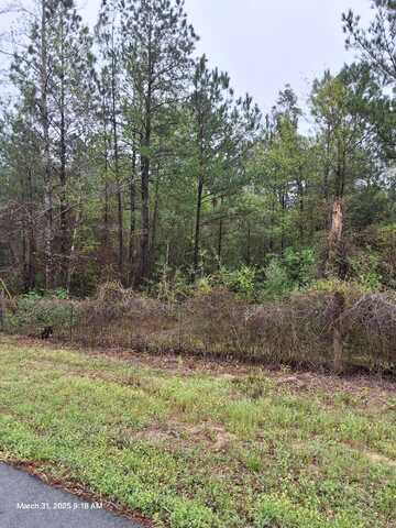 ~8.99 Acres Tick Haven Lane, Crestview, FL 32539