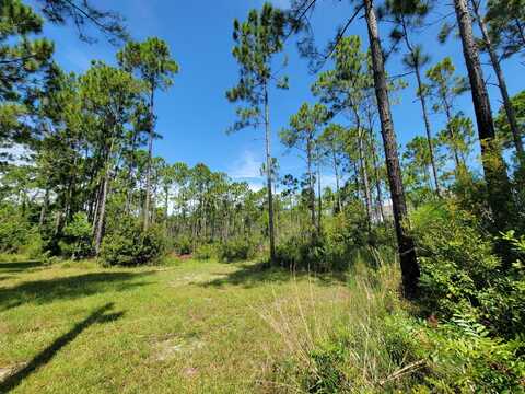 Lot 8 Delbert Lane, Santa Rosa Beach, FL 32459