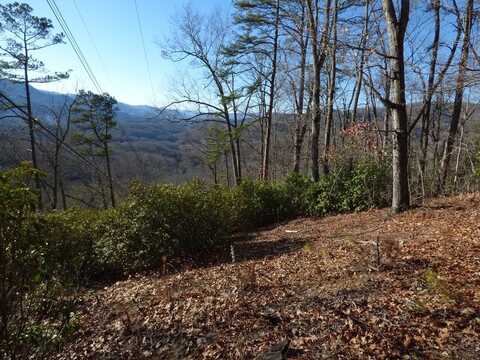 Ridgeway Street, Sylva, NC 28779