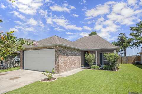25421 Black Lake Ave, Livingston, LA 70754
