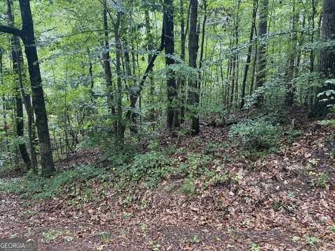 0 Arrow, Lavonia, GA 30553