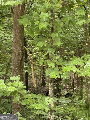 1931 Seven Forks, Martin, GA 30557