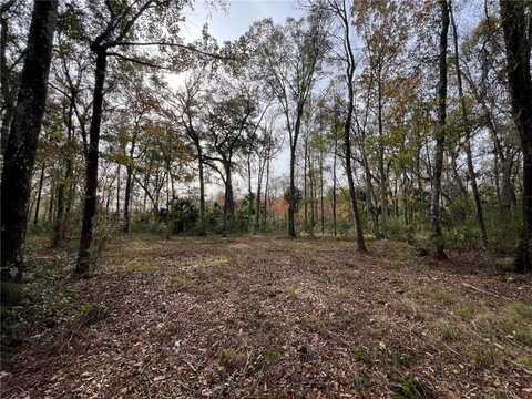 597 Salt Creek Way E, Brunswick, GA 31523