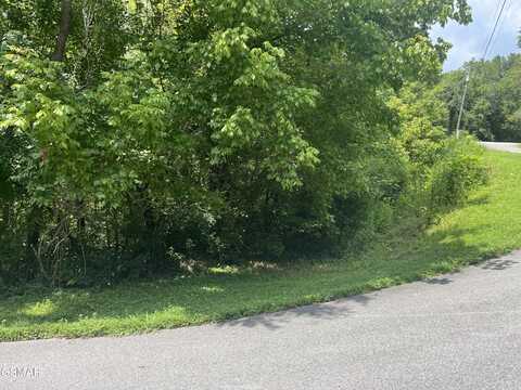 Lot 8 Indian Gap Circle, Sevierville, TN 37876