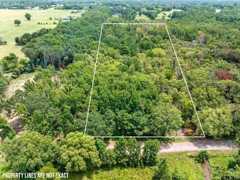 16369 C R 1100, Flint, TX 75762