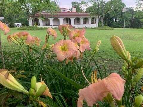 8414 CR 3907, Athens, TX 75752