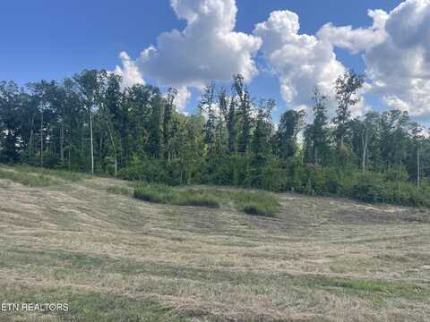 Lot 16 Laura Boling Loop Rd, Strawberry Plains, TN 37871
