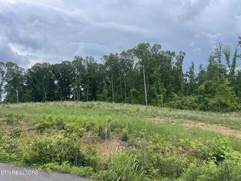 Lot 16 Laura Boling Loop Rd, Strawberry Plains, TN 37871