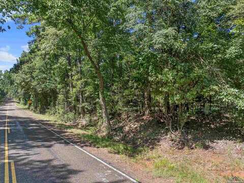 Tbd S FM 225, Laneville, TX 75667