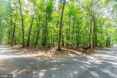 0 BIG H RANCH RD, CULPEPER, VA 22701