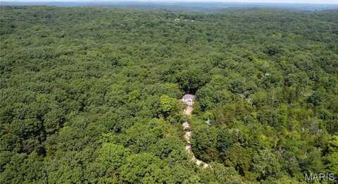 10021 Bugle Rd, Cadet, MO 63630