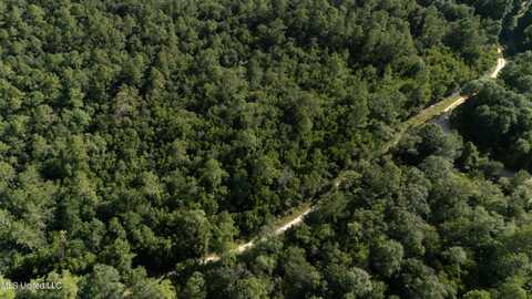 Ashmore Ridge Drive, Vancleave, MS 39565