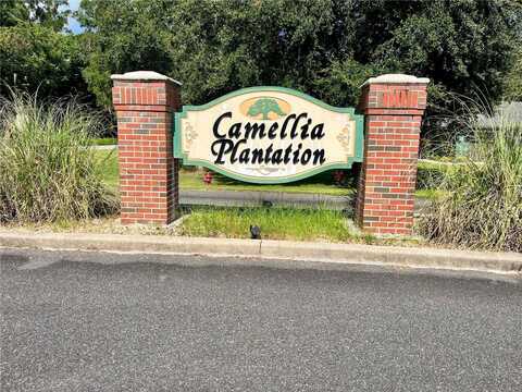 Tbd SW 9TH STREET, WILLISTON, FL 32696