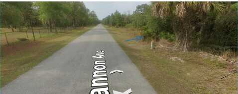 8186 N SHANNON AVENUE, CRYSTAL RIVER, FL 34428