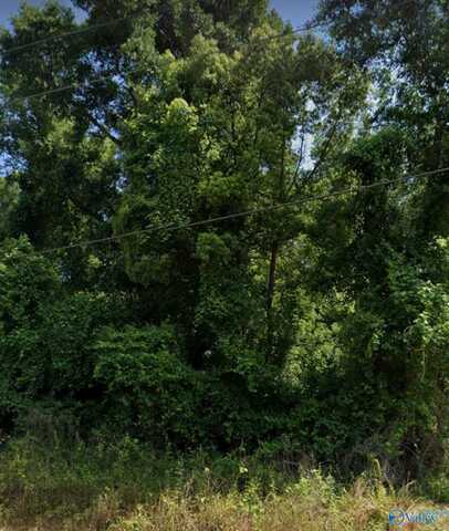 6.3 Acres Acres, Lillian, AL 36549