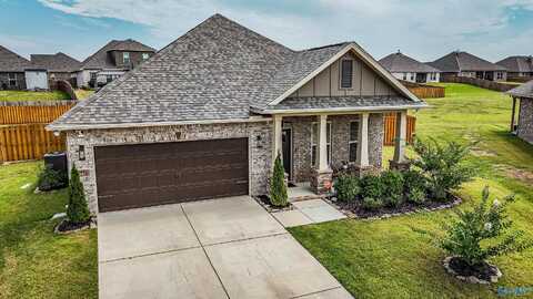 15776 NW Mizewell Lane NW, Harvest, AL 35749